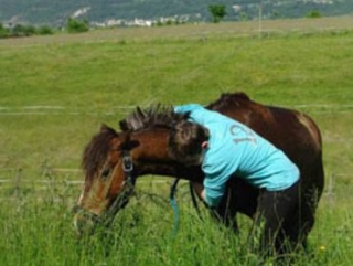 A caminhada equestre com o clube 